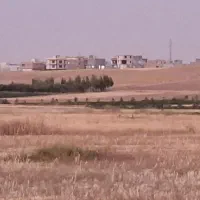 فروش دو هکتار و نیم زمین برقی بارانی واقع  دهگلان|فروش دفتر صنعتی، کشاورزی، تجاری|دهگلان, |دیوار