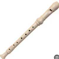 فلوت ریکوردر