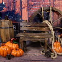 آتلیه تخصصی کودک|خدمات پذیرایی، مراسم|تهران, دروازه شمیران|دیوار