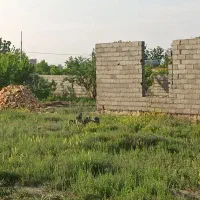 باغ|فروش دفتر صنعتی، کشاورزی، تجاری|چناران, |دیوار