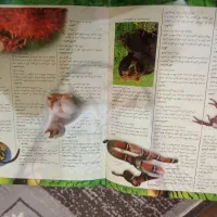 فروش ویژه شکارچیان طبیعت|کتاب و مجله آموزشی|خواف, |دیوار