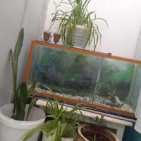 آکواریوم به ابعاد ۹۰در۴۰