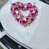 گل آرایی ماشین عروس (رایگان) و دسته گل عروس|گل و گیاه طبیعی|فردیس, فردیس|دیوار