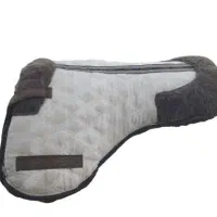 ست سوارکاری|اسب و تجهیزات اسبسواری|تولم شهر, |دیوار