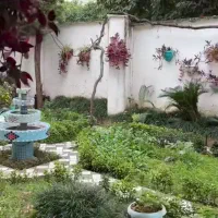 باغ ۴۲۰ متری فروشی ابتدای جاده شاندیز