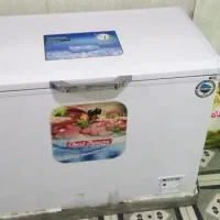یخچال فلیزرزمینی نوع