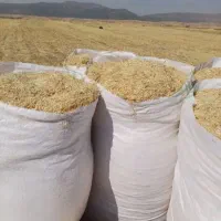 خریدار کاه گندم