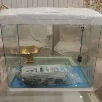 آکواریوم آکوآ|ماهی|سراب, |دیوار