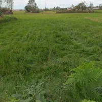 فروش زمین ۱۰۹۴ متری در عینک|فروش زمین و ملک کلنگی|رشت, عینک|دیوار