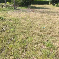 مغازه-تجاری-در-مرکز-شهر-بهنمیر