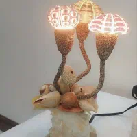 آباژورصدفی