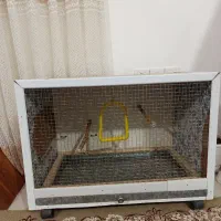 قفس طوطی|لوازم جانبی حیوانات|سمنان, |دیوار