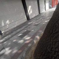 مغازه  ۵۰۰متر  سرنبش بر اصلی