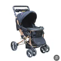 کالسکه دلیجان مدل بنیتا|کالسکه و لوازم جانبی|تویسرکان, |دیوار