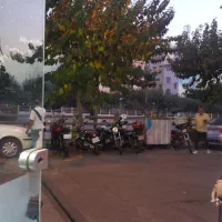 فروش مغازه ۱۷ متری ملکیت و سرقفلی|فروش مغازه و غرفه|تهران, سبلان (لشگر)|دیوار