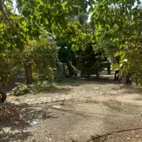 فروش سوله و ملک