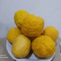 بالنگ ارگانیک