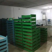 میلورم زنده و کود میلورم