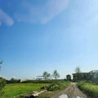 فروش فوری ۵۳۰ متری در بازکیاگوراب به دلیل مهاجرت|فروش زمین و ملک کلنگی|لاهیجان, بازکیاگوراب|دیوار