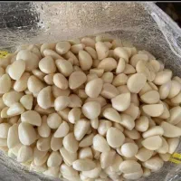 نیرو سیر جمع کن خانم