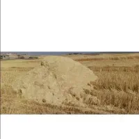 ۶ انبار کاه گندم کامپا