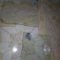 بشقاب بلوری