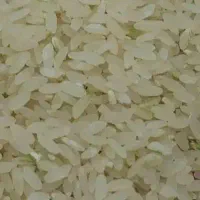 برنج کامفیروزی درجه یک بشرط پخت