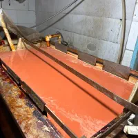 به نیروی خدماتی اتباع نیازمندیم