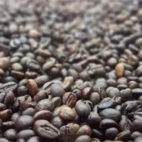 اهواز اکباتان دادگستری ۴|عمده‌فروشی|اهواز, شهرک اکباتان|دیوار