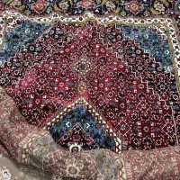 فروش فرش ۹متری|فرش|کلاچای, |دیوار