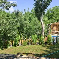 خونه باغ روزانه ویلایی دهبالا ۹۰ متری جای دنج