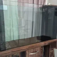 تراریوم خزنده