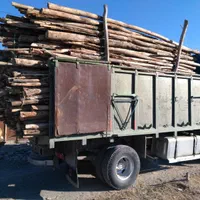 خرید چوب گلخونه ای|خدمات باغبانی و درختکاری|پیشوا, |دیوار