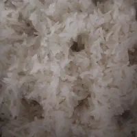 برنج فجر گرگان|خوردنی و آشامیدنی|کاشان, درب اصفهان|دیوار