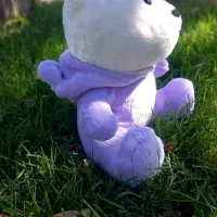 دوره کامل عروسک سازی برای اولین بار در قاین|خدمات آموزشی|قائن, |دیوار