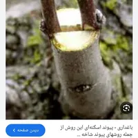 پاکنی باغها باغچها و محوطه با دستگاه 12اسب دیزل|خدمات باغبانی و درختکاری|شیراز, سعیدیه جنوبی|دیوار
