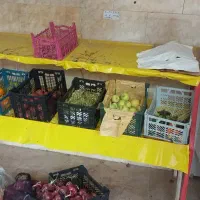 چیدمان میوه|فروشگاه و مغازه|اهواز, معین زاده|دیوار
