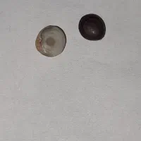 سنگ|جواهرات|زهک, |دیوار