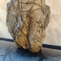 سنگهای مشکوک به شهاب سنگ|کلکسیون اشیاء عتیقه|بیرجند, |دیوار