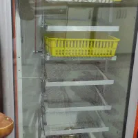 دستگاه جوجه کشی تمام اتومات