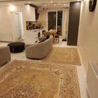 80-متر-پونک-نورگیر