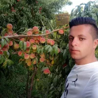 بِه هلو شلیل بادام دیر گل پسته