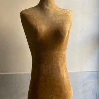 چوب لباسی اتاق پرو گیره شلوار مانکن رگال تیله|فروشگاه و مغازه|شیراز, کوشک میدان|دیوار