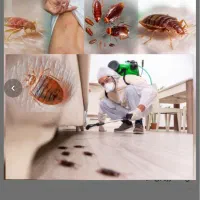 سمپاشی و موریانه زدایی با ضمانت کتبی (محمد حسینی )|خدمات نظافت|خرم‌آباد, |دیوار