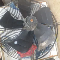 فن ، سانتیفیوژ|پنکه و تصفیهکنندهٔ هوا|سنندج, |دیوار