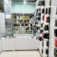 ویترین رگال وپایه رگال