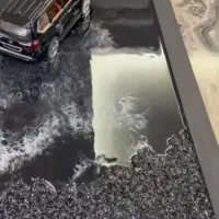 تابلو دکوراتیو|خدمات پیشه و مهارت|نیشابور, مسکن مهر نور|دیوار