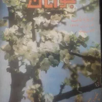 مجلات جوانان سال ۱۳۶۲