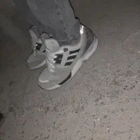 کتونی zx ۳۶ فیلی|کیف، کفش، کمربند|اسلامشهر, شهرک محمدیه|دیوار