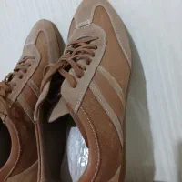 کفش خارجی|کیف، کفش، کمربند|آق قلا, |دیوار